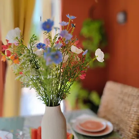 Paula Pool Adeje * 阿德耶