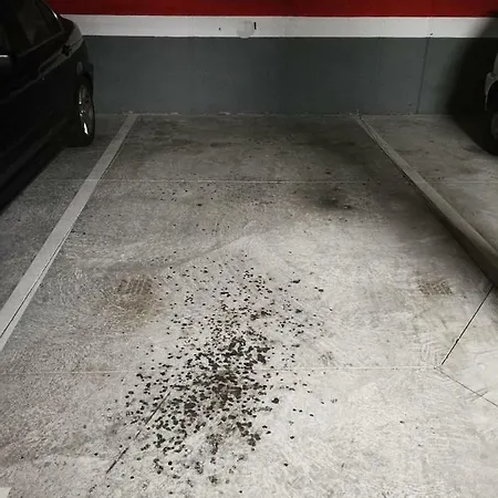 公寓 Paula Pool Adeje 阿德耶