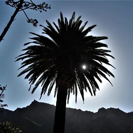 Appartement Paula Pool Adeje *