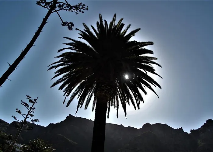 Апартаменты Paula Pool Adeje *