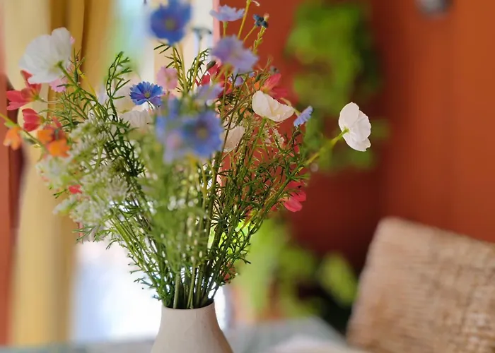 Paula Pool Adeje * Costa Adeje