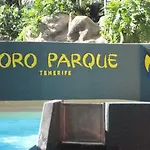 Paula Pool Adeje Apartman