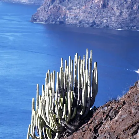 Lägenhet Paula Pool Adeje *