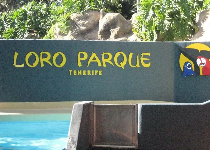 Paula Pool Adeje Apartman